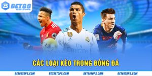 Chỉ dẫn thêm mẹo nhận định kết quả chính xá